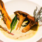 Unveiling the Most EPIC Mushroom: Nature’s Fungi Marvel